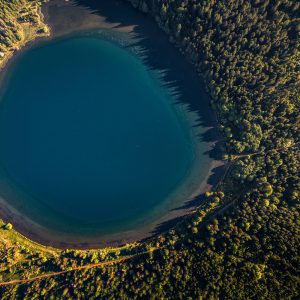 34 EVS 2026 Vegetation of Europe