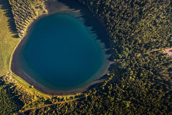 DJI_0959 34 EVS 2026 Vegetation of Europe